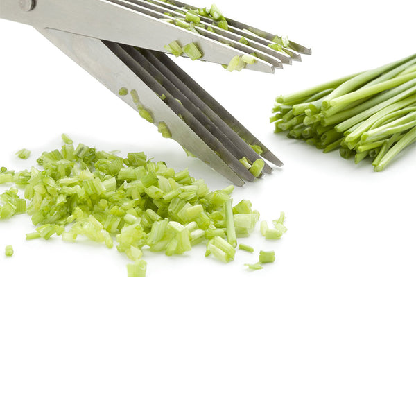 Multipurpose Kitchen Shears 5 Blades Herb Scissors